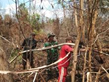 Danramil 03/Bunut, Kapten inf E.Sihotang aktif menangani karhutla baik pemadaman maupun pendinginan