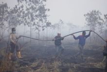 Karhutla di Teluk Meranti, Kabupaten Pelalawan/ist