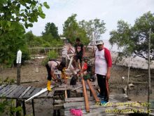 Gotong-royong memperbaiki jalan penghubung yang terbuat dari kayu (Jerambah) yang rusak dan lapuk/rgo