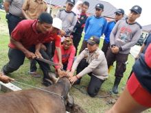 Pemotongan hewan kurban di halaman Mapolsek Bengkalis/hari