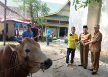  Bupati Inhil, HM Wardan menunaikan ibadah kurban pada perayaan Idul Adha 1440 Hijiriyah di lingkungan Sekretariat Daerah Kabupaten Inhil/ADV