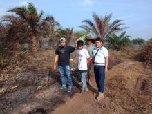 Seorang warga yang diduga pelaku pembakar lahan di Pinggir diamankan Polisi/hari