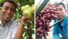 Muhammad Rafi dari juragan jambu madu hijau beralih bisnis kurma tropis KL1 Thailand di Pekanbaru (foto/int)