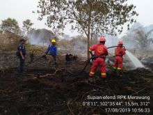 Di tengah suasana HUT RI, Tim Pemadam Arara Abadi berjuang memadamkan api