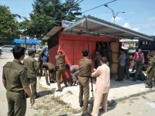 Satpol PP Pelalawan melakukan penertiban/ardi