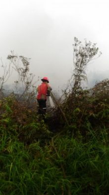 Karhutla di Bengkalis kembali membara/hari