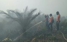 Karhutla di kawasan Bukit Kerikil Bengkalis terus melauas/hari