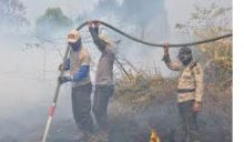 Karhutla Ilustrasi/int