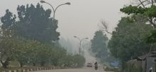 Kabut asap tebal Pelalawan/ardi