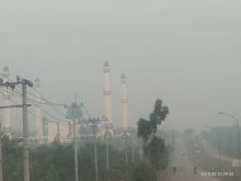 Kondisi asap di Pelalawan/ardi