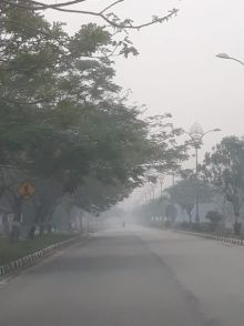 Kualitas Udara di Siak Berbahaya, Diskes Himbau Warga Kurangi Aktivitas di Luar Rumah