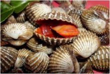 Kerang merah (internet) 