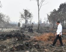 Presiden Jokowi saat meninjau Karhutla di Riau beberapa hari lalu (foto/istimewa)