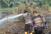 Petugas TNI-Polri dan gabungan terus melakukan pendinginan dilokasi karhutla di Desa Rimbo Panjang.