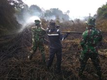 Petugas gabungan berjibaku memadamkan lahan terbakar di Bengkalis. Foto: hari 