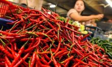 Harga sembako di Bengkalis akan bisa diakses secara online (foto/int)