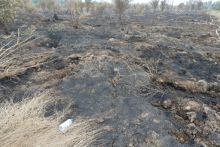 Foto lokasi karhutla di Riau. (dok. Riau24Group)