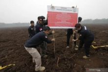 Petugas Ditjen Penegakan Hukum Kementerian Lingkungan Hidup dan Kehutanan (KLHK) menyegel lahan perusahaan asal Malaysia PT Adei Plantation and Industry di Kabupaten Pelalawan beberapa waktu lalu (foto/antaranews)