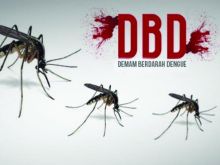 Warga Kota Dumai diminta meningkatkan kewaspadaan terhadap potensi penyakit Deman Berdarah Dengue (foto/ilustrasi)
