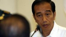 Presiden RI Jokowi (foto/int)