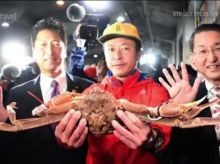 Boleh percaya boleh tidak, harga kepiting ini setara dengan harga mobil mewah. Foto: int 