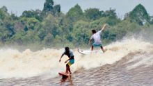 Peselancar Mancanegara besok akan jajal ombak Bono (foto/int)