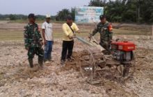 Babinsa Koramil 03/Tempuling Serda Mardia turun ke sawah membantu kelompok tani di Kecamatan Kempas  Kabupaten Indragiri Hilir (foto/Rgo)
