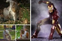 Pose tupai mendarat mirip gaya superhero Iron Man (foto/int)