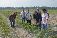Bersama warga PT Arara Abadi Realisasikan tanaman kehidupan