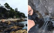 Pantai Sydney, Australia menghitam gara-gara abu hasil kebakaran hutan (foto/int)