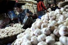 Harga bawang putih masih stabil (foto/int)