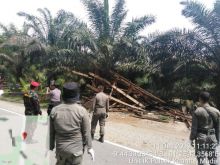 Satpol PP Kuansing robohkan rumah liar (foto/Zar)