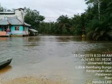 Korban banjir di Pelalawan (foto/ardi)