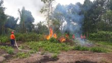Wilayah Kabupaten Kepulauan Meranti, menjadi salah daerah rawan kebakaran hutan dan lahan (foto/Mad)