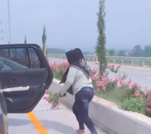 Iseng, Emak-emak Ini Nekat Ambil Tanaman di Pinggir Jalan Tol