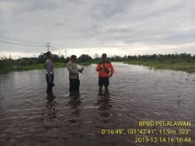 Ketinggian air Sungai Kampar terus naik membanjiri Jalan di Pelalawan (foto/Ardi)