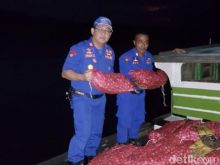 Satpol Airud Bengkalis paling banyak tanggani kasus penyelundupan bawang ilegal (foto/int)