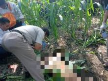 Tragis, Pemandu Lagu Cantik Ini Ditemukan Tewas Dalam Keadaan Bugil di Kebun Jagung