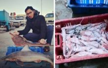 Aktivis Palestina asal Indonesia, Muhammad Husein unggah hasil laut Gaza (foto/int)