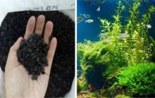 Pasir malang untuk aquascape di Kota Pekanbaru mulai sulit didapatkan (foto/int)