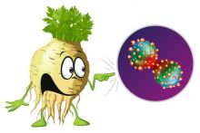 Enam Hal Yang Terjadi pada Tubuh Anda Saat Anda Mulai Minum Jus Seledri Setiap Pagi