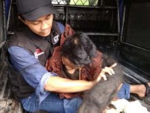 Sukiyat wanita yang rambutnya dihinggapi tikus, kecoa hingga bangkai karena 27 tahun tak mandi. (Foto: Detik.com)