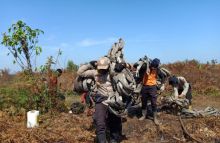 Sebanyak 28 personel jajaran Kepolisian Resor (Polres) Bengkalis meraih penghargaan dalam penanganan masalah Karhutla dan narkotika (foto/int)