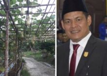 Berkebun di waktu senggang atau mengisi waktu libur, seperti yang dilakukan oleh  Gusmir Indra salah seorang Anggota DPRD Kuantan Singingi (foto/int)