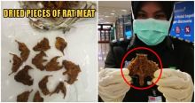 Ditengah Virus Corona, Pria Asal Myanmar Ini Menyelundupkan Daging Tikus di Bandara Penang 