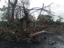 Menyikapi soal abrasi di Desa Pambang Tanjung Senekip kecamatan Bantan (foto/Hari)