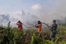 Siak tetapkan siaga Karhutla hingga 31 April 2020 (foto/lin)