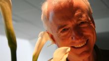 Larry Tesler, Ilmuwan Komputer di Balik Penemu Cut-copy-paste  Meninggal Dunia