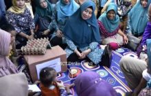 Ketua Tim Penggerak Pemberdayaan Kesejahteraan Keluarga (TP PKK) Kabupaten Indragiri Hilir (Inhil), Hj Zulaikhah Wardan (foto/Rgo)