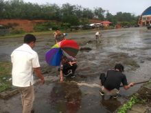 Bupati Kabupaten Kuantan Singingi, Drs. H. Mursini, M.Si (foto/Zar)